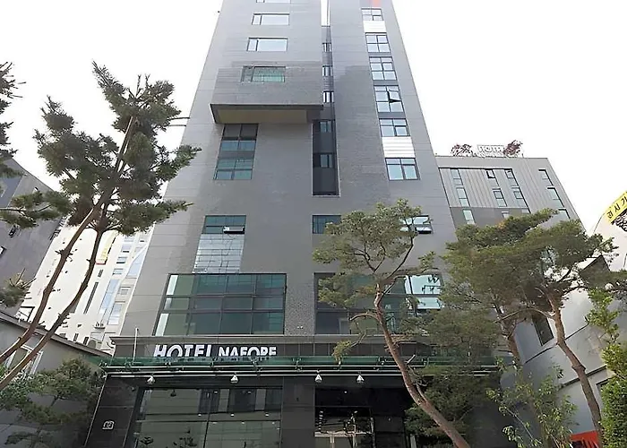 酒店 纳法尔酒店